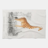 Antiek Giraffe Natuurhistorische Print Orbigny Theedoek (Horizontaal)