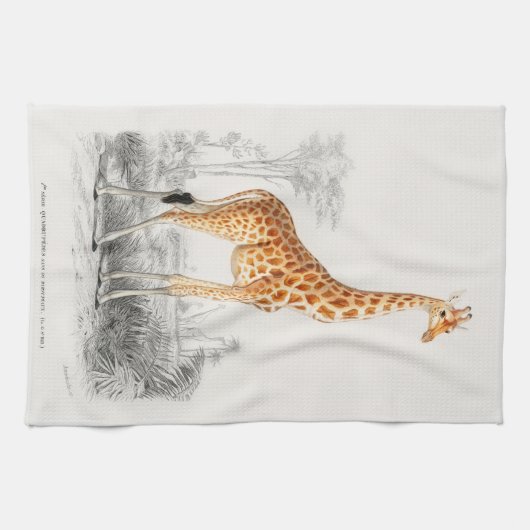 Antiek Giraffe Natuurhistorische Print Orbigny Theedoek (Horizontaal)
