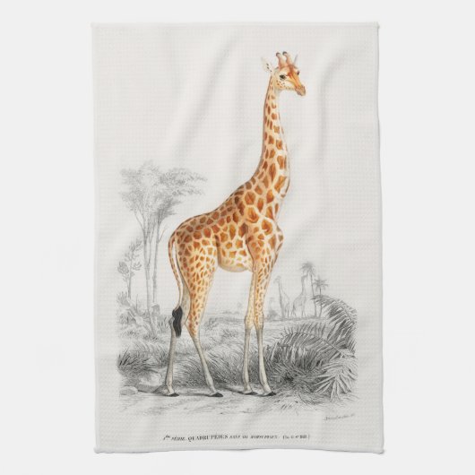 Antiek Giraffe Natuurhistorische Print Orbigny Theedoek (Verticaal)
