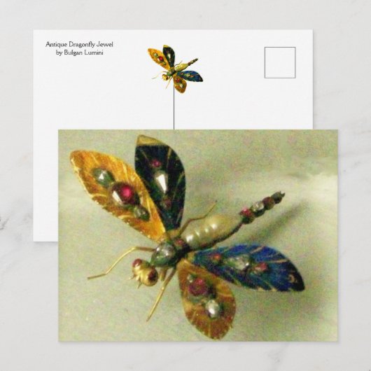 ANTIEK GOLD DRAGONFLY JEWEL MET GEMSTONES POSTCA BRIEFKAART (Voorkant / Achterkant)