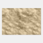 Antiek Gold Glitter Cream Leopard Print Inpakpapier Vel (Voorkant 3)