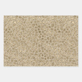 Antiek Gold Glitter Cream Leopard Print Inpakpapier Vel (Voorkant)