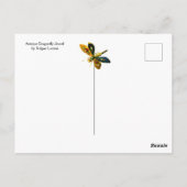 ANTIEK GOUD LIBELLE SIERADEN, EDELSTENEN IN ZWART BRIEFKAART (Achterkant)