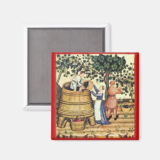 ANTIEK GRAPE VINEYARD HARVEST MAGNEET (Voorkant / Achterkant)