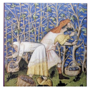 ANTIEK GRAPE VINEYARD HARVEST TEGELTJE