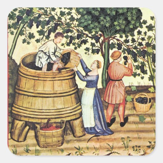 ANTIEK GRAPE VINEYARD HARVEST VIERKANTE STICKER (Voorkant)