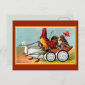 Antiek grappige kippen eendenspoel katoen briefkaart (Voorkant / Achterkant)