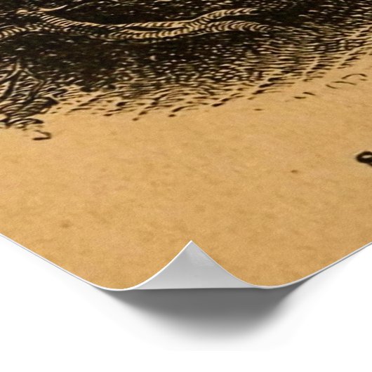 Antiek gravering in San Francisco Poster (Hoek)