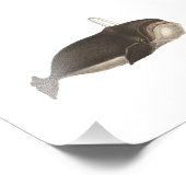 Antiek gravering van een walvis foto afdruk (Hoek)