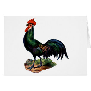 Antiek-Green-feestrooster