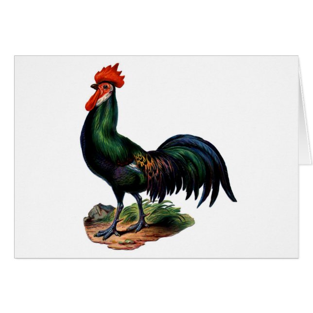 Antiek-Green-feestrooster (Voorkant Horizontaal)
