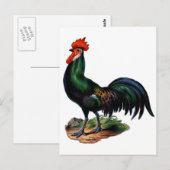 Antiek-Green-feestrooster Briefkaart (Voorkant / Achterkant)