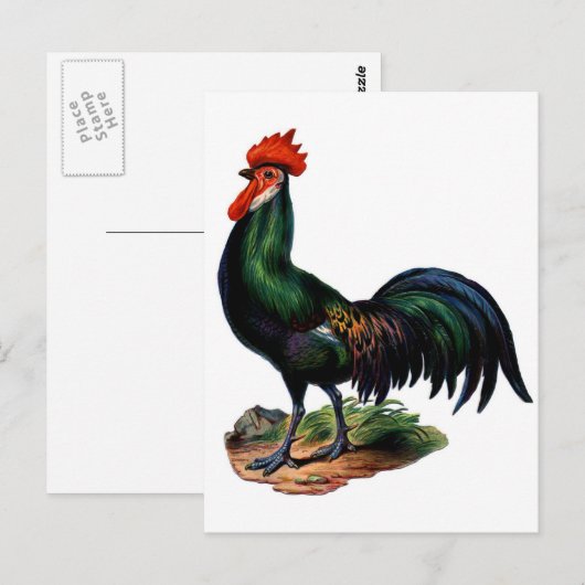 Antiek-Green-feestrooster Briefkaart (Voorkant / Achterkant)