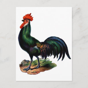 Antiek-Green-feestrooster Briefkaart