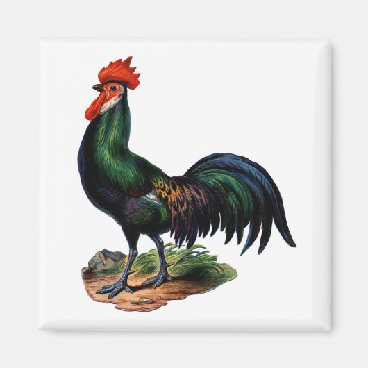 Antiek-Green-feestrooster Magneet (Voorkant)