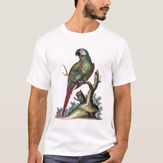 Antiek groene papegaai t-shirt (Voorkant)