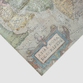 Antiek Grunge  Map Tissuepapier (Detail)