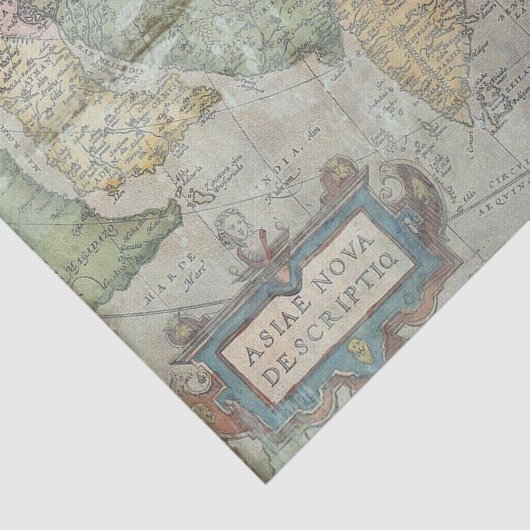 Antiek Grunge  Map Tissuepapier (Detail)