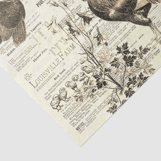 Antiek haan tuinbouw advertenties Ephemera beige Tissuepapier (Detail)