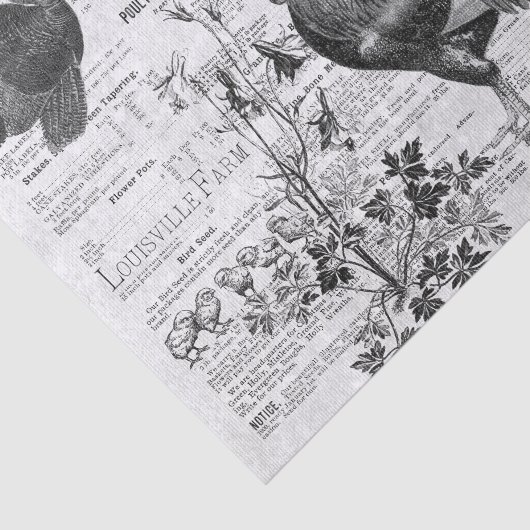 Antiek haan tuinbouw advertenties Ephemera grijs Tissuepapier (Detail)