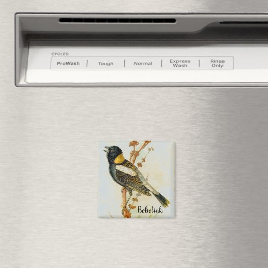 Antiek handgetekende Bobolink Vogelmagneet Magneet (Insitu (Vaatwasser))