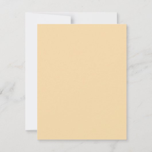 Antiek hemelse zodiakkaart,  astrologie (Achterkant)