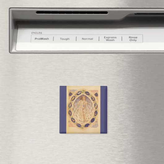 Antiek hemelse zodiakkaart,  astrologie magneet (Insitu (Vaatwasser))