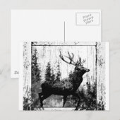 Antiek hert zwart-wit dier briefkaart (Voorkant / Achterkant)
