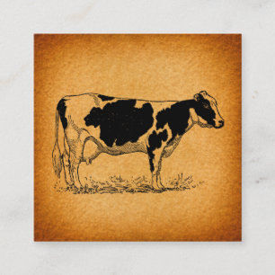 Antiek Holstein Cow Boerderij Animal Illustration Informatiekaartje
