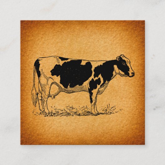 Antiek Holstein Cow Boerderij Animal Illustration Informatiekaartje (Voorkant)