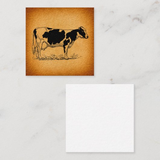 Antiek Holstein Cow Boerderij Animal Illustration Informatiekaartje (Voorkant / Achterkant)