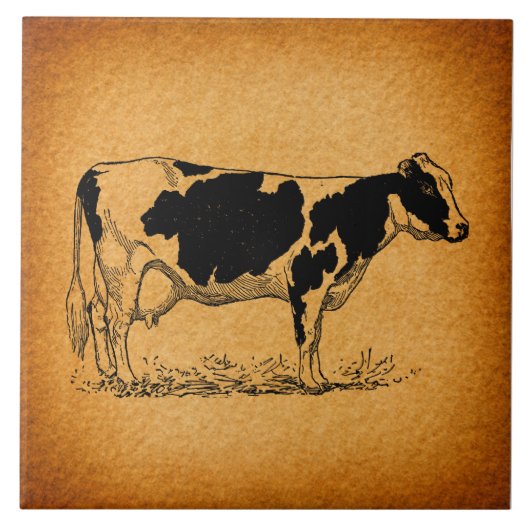 Antiek Holstein Cow Boerderij Animal Illustration Tegeltje (Voorkant)