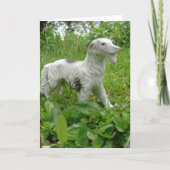 Antiek hond kaart (Voorkant)