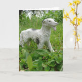 Antiek hond kaart (Gele Bloem)