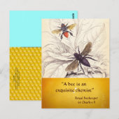 ANTIEK HONINGBIJENHOUDER ,BIJENTEELT BRIEFKAART (Voorkant / Achterkant)