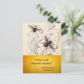 ANTIEK HONINGBIJENHOUDER ,BIJENTEELT BRIEFKAART (Staand voorkant)