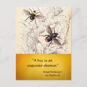 ANTIEK HONINGBIJENHOUDER ,BIJENTEELT BRIEFKAART