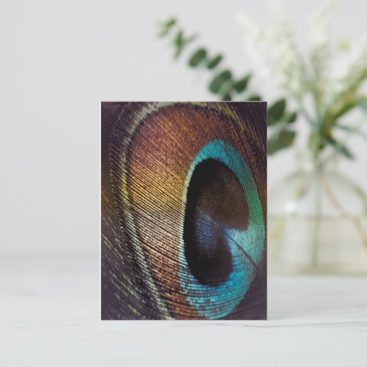 Antiek Hues Peacock Feather Eye Briefkaart (Staand voorkant)