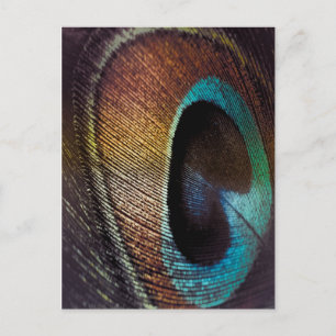 Antiek Hues Peacock Feather Eye Briefkaart