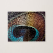 Antiek Hues Peacock Feather Eye Legpuzzel (Horizontaal)