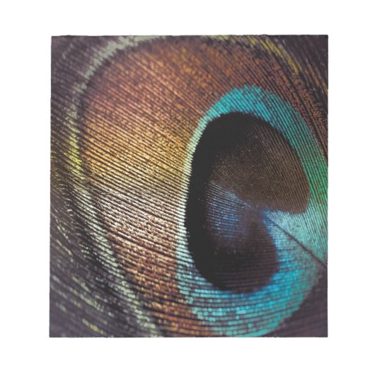 Antiek Hues Peacock Feather Eye Notitieblok (Voorkant)