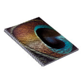 Antiek Hues Peacock Feather Eye Notitieboek (Rechterzijde)