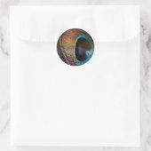 Antiek Hues Peacock Feather Eye Ronde Sticker (Tas)