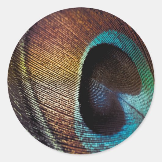 Antiek Hues Peacock Feather Eye Ronde Sticker (Voorkant)
