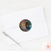 Antiek Hues Peacock Feather Eye Ronde Sticker (Envelop)
