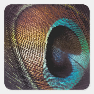Antiek Hues Peacock Feather Eye Vierkante Sticker