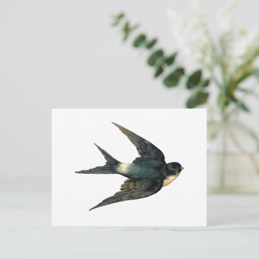  Antiek illustratie van de gevlikte vogel Briefkaart (Staand voorkant)