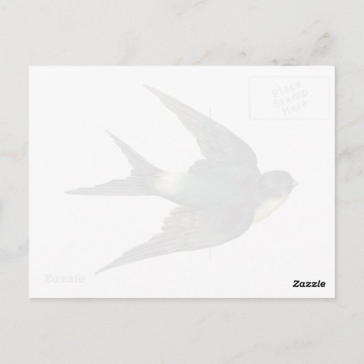  Antiek illustratie van de gevlikte vogel Briefkaart (Achterkant)