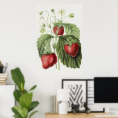 Antiek illustratie van Fraise reine des belges. Poster (Thuiskantoor)