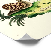 Antiek illustratie van tuinslakken poster (Hoek)